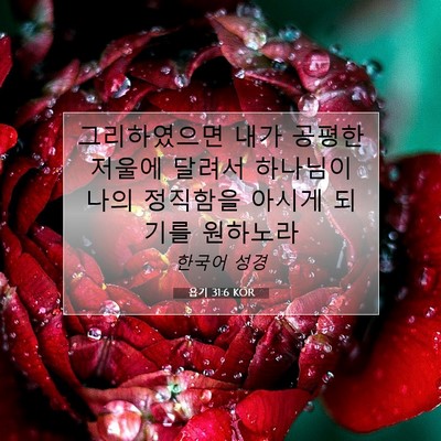 Picture 07 - 욥기 31:6 KOR - 그리하였으면 내가 공평한 저울에 - Bible Verse Picture