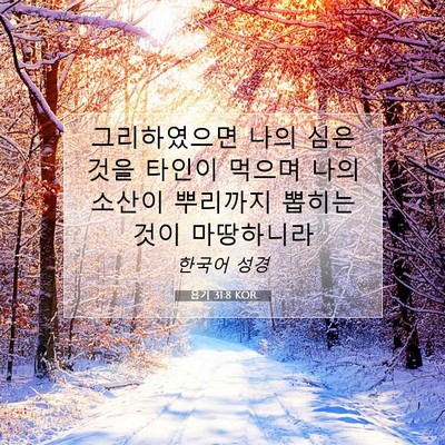 Picture 07 - 욥기 31:8 KOR - 그리하였으면 나의 심은 것을 타인이 - Bible Verse Picture