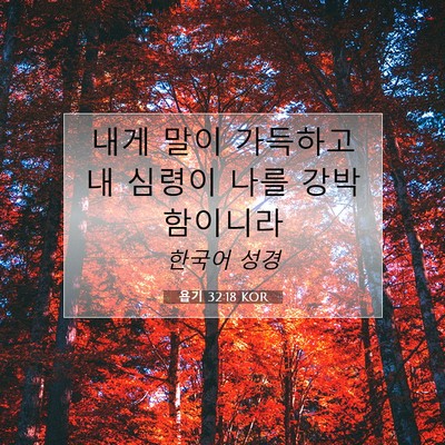 Picture 07 - 욥기 32:18 KOR - 내게 말이 가득하고 내 심령이 나를 - Bible Verse Picture