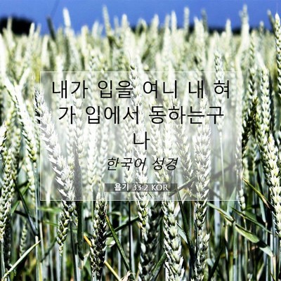 Picture 07 - 욥기 33:2 KOR - 내가 입을 여니 내 혀가 입에서 - Bible Verse Picture