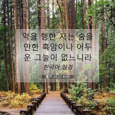 Picture 07 - 욥기 34:22 KOR - 악을 행한 자는 숨을 만한 흑암이나 - Bible Verse Picture