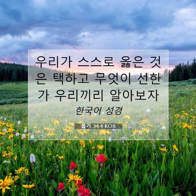 Picture 07 - 욥기 34:4 KOR - 우리가 스스로 옳은 것은 택하고 - Bible Verse Picture