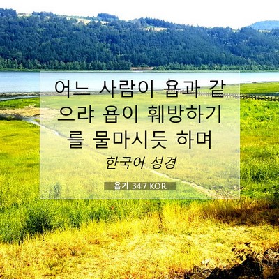 Picture 07 - 욥기 34:7 KOR - 어느 사람이 욥과 같으랴 욥이 - Bible Verse Picture