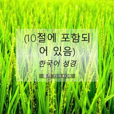 Picture 07 - 욥기 35:11 KOR - (10절에 포함되어 - Bible Verse Picture