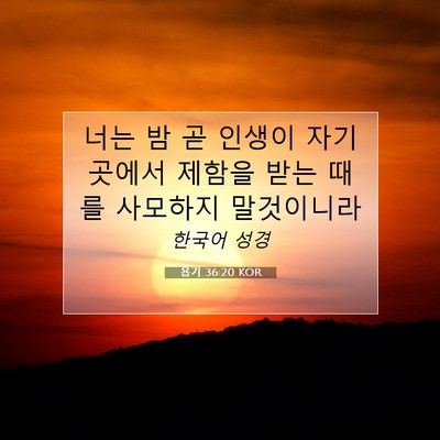 Picture 07 - 욥기 36:20 KOR - 너는 밤 곧 인생이 자기 곳에서 - Bible Verse Picture