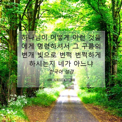 Picture 07 - 욥기 37:15 KOR - 하나님이 어떻게 이런 것들에게 - Bible Verse Picture
