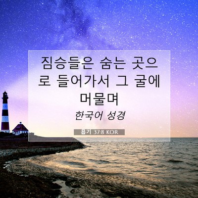 Picture 07 - 욥기 37:8 KOR - 짐승들은 숨는 곳으로 들어가서 그 - Bible Verse Picture