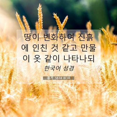 Picture 07 - 욥기 38:14 KOR - 땅이 변화하여 진흙에 인친 것 같고 - Bible Verse Picture