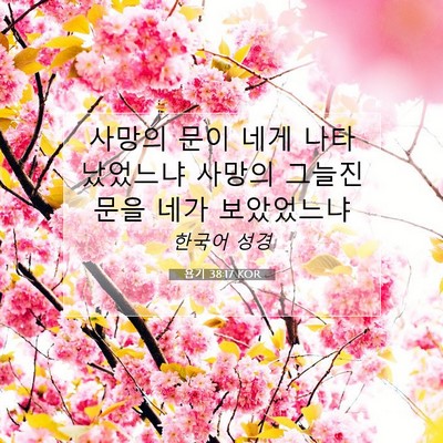 Picture 07 - 욥기 38:17 KOR - 사망의 문이 네게 나타났었느냐 - Bible Verse Picture