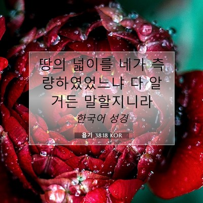 Picture 07 - 욥기 38:18 KOR - 땅의 넓이를 네가 측량하였었느냐 다 - Bible Verse Picture