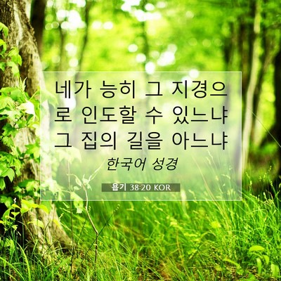 Picture 07 - 욥기 38:20 KOR - 네가 능히 그 지경으로 인도할 수 - Bible Verse Picture