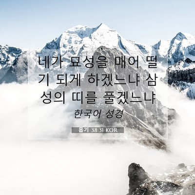 Picture 07 - 욥기 38:31 KOR - 네가 묘성을 매어 떨기 되게 - Bible Verse Picture