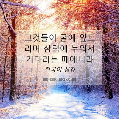 Picture 07 - 욥기 38:40 KOR - 그것들이 굴에 엎드리며 삼림에 - Bible Verse Picture