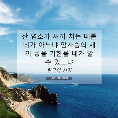 Picture 07 - 욥기 39:1 KOR - 산 염소가 새끼 치는 때를 네가 - Bible Verse Picture