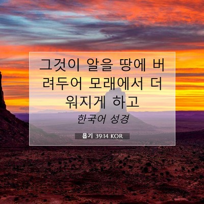 Picture 07 - 욥기 39:14 KOR - 그것이 알을 땅에 버려두어 모래에서 - Bible Verse Picture