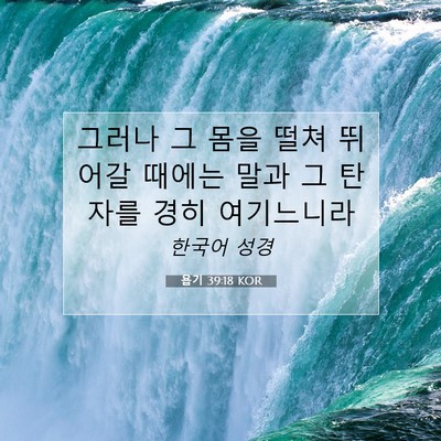 Picture 07 - 욥기 39:18 KOR - 그러나 그 몸을 떨쳐 뛰어갈 때에는 - Bible Verse Picture