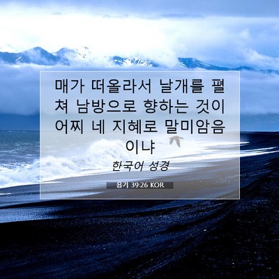 Picture 07 - 욥기 39:26 KOR - 매가 떠올라서 날개를 펼쳐 남방으로 - Bible Verse Picture