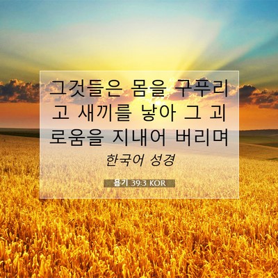 Picture 07 - 욥기 39:3 KOR - 그것들은 몸을 구푸리고 새끼를 낳아 - Bible Verse Picture
