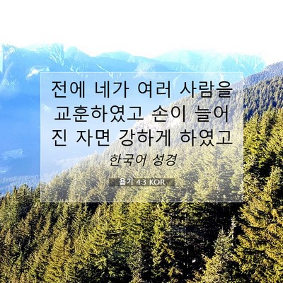 Picture 07 - 욥기 4:3 KOR - 전에 네가 여러 사람을 교훈하였고 - Bible Verse Picture