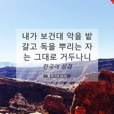 Picture 07 - 욥기 4:8 KOR - 내가 보건대 악을 밭갈고 독을 - Bible Verse Picture