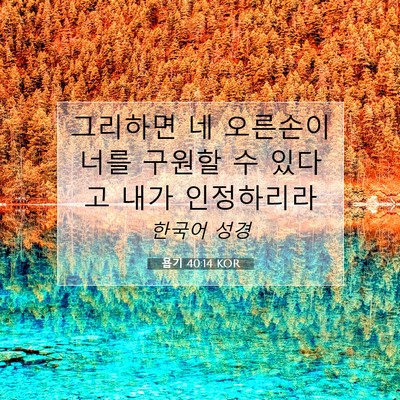 Picture 07 - 욥기 40:14 KOR - 그리하면 네 오른손이 너를 구원할 - Bible Verse Picture