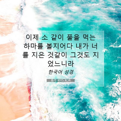 Picture 07 - 욥기 40:15 KOR - 이제 소 같이 풀을 먹는 하마를 - Bible Verse Picture