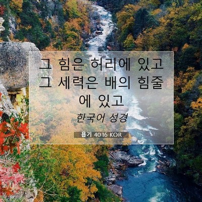 Picture 07 - 욥기 40:16 KOR - 그 힘은 허리에 있고 그 세력은 배의 - Bible Verse Picture