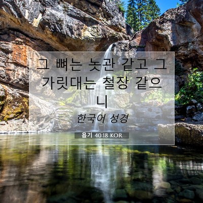 Picture 07 - 욥기 40:18 KOR - 그 뼈는 놋관 같고 그 가릿대는 철장 - Bible Verse Picture