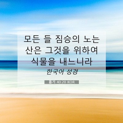 Picture 07 - 욥기 40:20 KOR - 모든 들 짐승의 노는 산은 그것을 - Bible Verse Picture