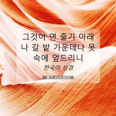 Picture 07 - 욥기 40:21 KOR - 그것이 연 줄기 아래나 갈 밭 - Bible Verse Picture