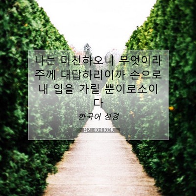 Picture 07 - 욥기 40:4 KOR - 나는 미천하오니 무엇이라 주께 - Bible Verse Picture