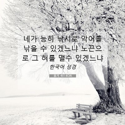 Picture 07 - 욥기 41:1 KOR - 네가 능히 낚시로 악어를 낚을 수 - Bible Verse Picture