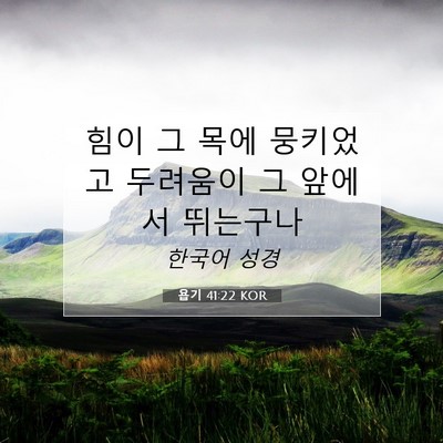 Picture 07 - 욥기 41:22 KOR - 힘이 그 목에 뭉키었고 두려움이 그 - Bible Verse Picture