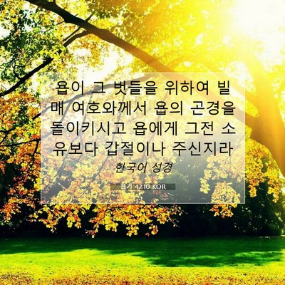 Picture 07 - 욥기 42:10 KOR - 욥이 그 벗들을 위하여 빌매 - Bible Verse Picture