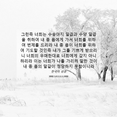 Picture 07 - 욥기 42:8 KOR - 그런즉 너희는 수송아지 일곱과 수양 - Bible Verse Picture