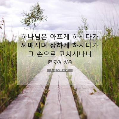 Picture 07 - 욥기 5:18 KOR - 하나님은 아프게 하시다가 싸매시며 - Bible Verse Picture