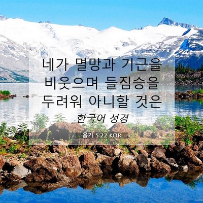 Picture 07 - 욥기 5:22 KOR - 네가 멸망과 기근을 비웃으며 - Bible Verse Picture