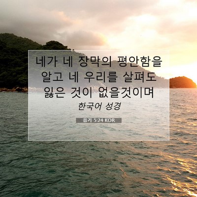 Picture 07 - 욥기 5:24 KOR - 네가 네 장막의 평안함을 알고 네 - Bible Verse Picture
