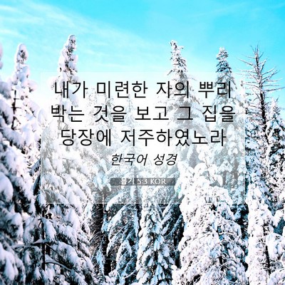 Picture 07 - 욥기 5:3 KOR - 내가 미련한 자의 뿌리 박는 것을 - Bible Verse Picture