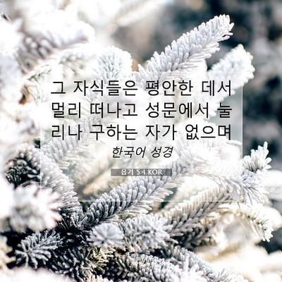 Picture 07 - 욥기 5:4 KOR - 그 자식들은 평안한 데서 멀리 - Bible Verse Picture