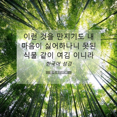 Picture 07 - 욥기 6:7 KOR - 이런 것을 만지기도 내 마음이 - Bible Verse Picture