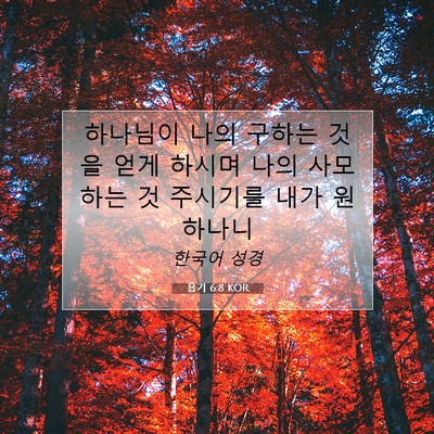 Picture 07 - 욥기 6:8 KOR - 하나님이 나의 구하는 것을 얻게 - Bible Verse Picture
