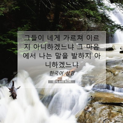 Picture 07 - 욥기 8:10 KOR - 그들이 네게 가르쳐 이르지 - Bible Verse Picture