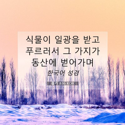Picture 07 - 욥기 8:16 KOR - 식물이 일광을 받고 푸르러서 그 - Bible Verse Picture