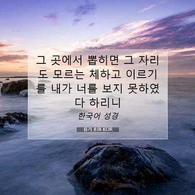Picture 07 - 욥기 8:18 KOR - 그 곳에서 뽑히면 그 자리도 모르는 - Bible Verse Picture