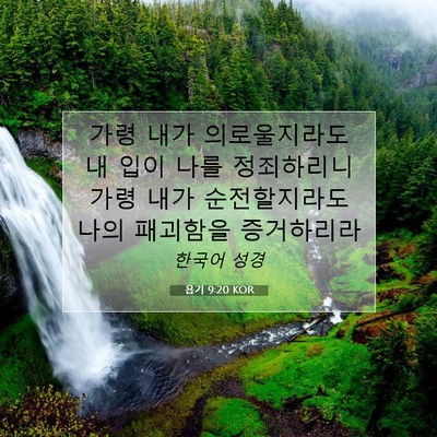 Picture 07 - 욥기 9:20 KOR - 가령 내가 의로울지라도 내 입이 - Bible Verse Picture
