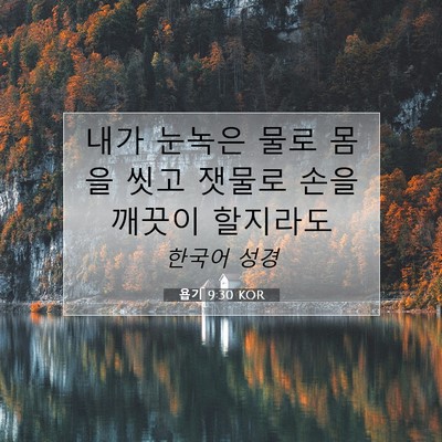 Picture 07 - 욥기 9:30 KOR - 내가 눈녹은 물로 몸을 씻고 잿물로 - Bible Verse Picture