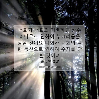 Picture 07 - 이사야 1:29 KOR - 너희가 너희의 기뻐하던 - Bible Verse Picture