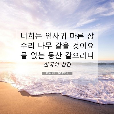 Picture 07 - 이사야 1:30 KOR - 너희는 잎사귀 마른 상수리 나무 - Bible Verse Picture