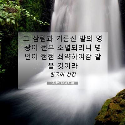 Picture 07 - 이사야 10:18 KOR - 그 삼림과 기름진 밭의 영광이 전부 - Bible Verse Picture